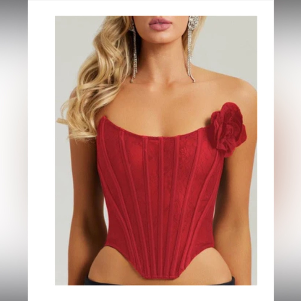 Red lace mesh corset top